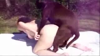 A woman with a big ass in nature satisfied a dog with sex