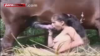 A slut tries lips entice a big dick in horse