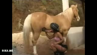 On the farm, a Russian fucks a Tajik woman, and she sucks a horse's cock | Sex with animals