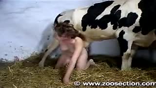 One woman Fucks herself in pussy tit of the cow, and the second sucks horse