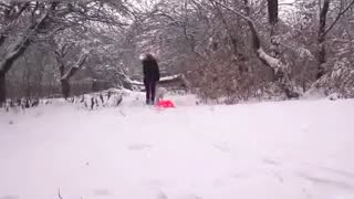 Im Winter auf der Straße im Wald ein Hund kam in die haarige Fotze Ihrer Herrin